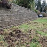 <div>Grub darn it: Here’s why lawns are more torn up than usual across Metro Vancouver</div>