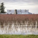 All evacuation orders lifted in Abbotsford following flooding