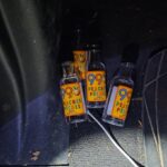 Abbotsford police stopped impaired driver with his four children in car