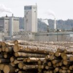 <div>B.C.’s forestry sector faces collapse unless structural changes are made: Report</div>