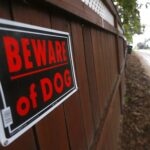 Dangerous Salmon Arm dog ordered destroyed