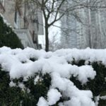 Vancouver moves closer to no-snow winter despite chilly blast