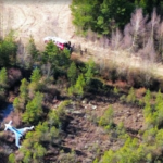 Pilot injured after small plane crashes in Burns Bog, Delta Police say