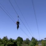 Vancouver park board approves zipline and tree canopy walk in Queen Elizabeth Park