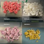 Police conduct large drug seizure from traffic stop in Surrey