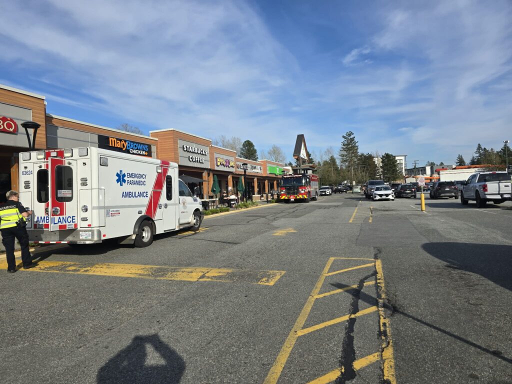 Police make arrest in attempted robbery incident at Maple Ridge store