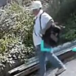Mounties in Coquitlam investigating after home invasion