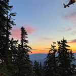 Lion’s Bay Search and Rescue respond to stranded hikers on Mount Brunswick trail
