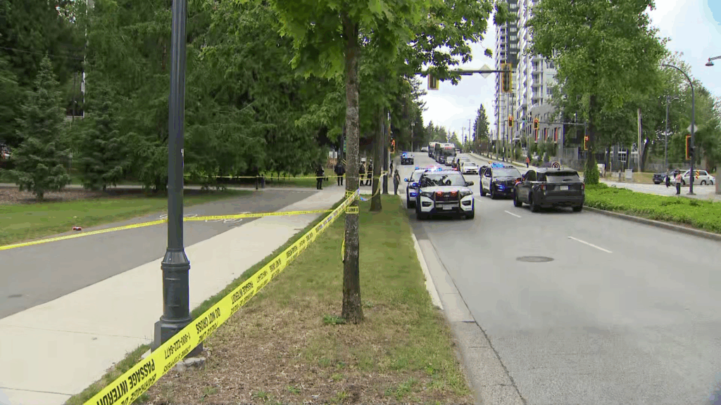 Suspect shot dead by Surrey police following stabbings