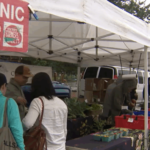 Vancouver’s farmers markets looking for support