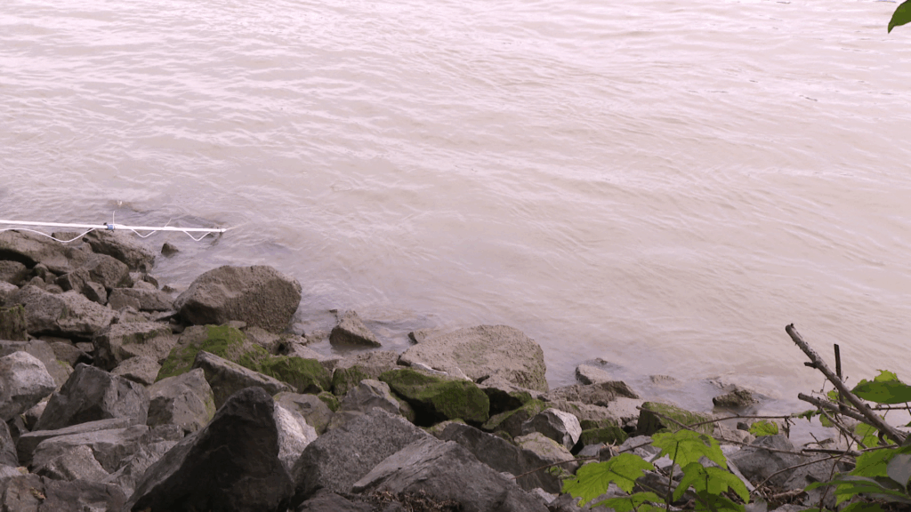 Delta becomes home to the province’s first ash-scattering site along the Fraser River