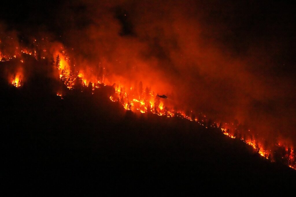 On weekend when southern B.C. burned, violators of fire bans were caught in the act