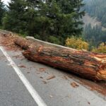 Debris cleared along Highway 1 to allow wildfire crew access