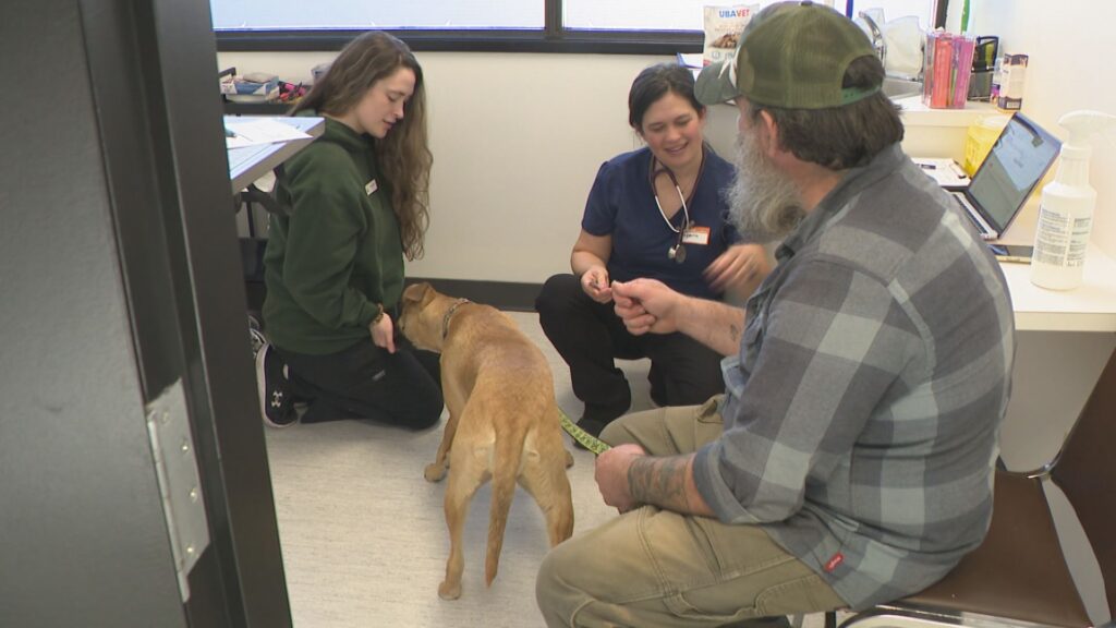 New Vancouver hub providing free pet care for low-income owners