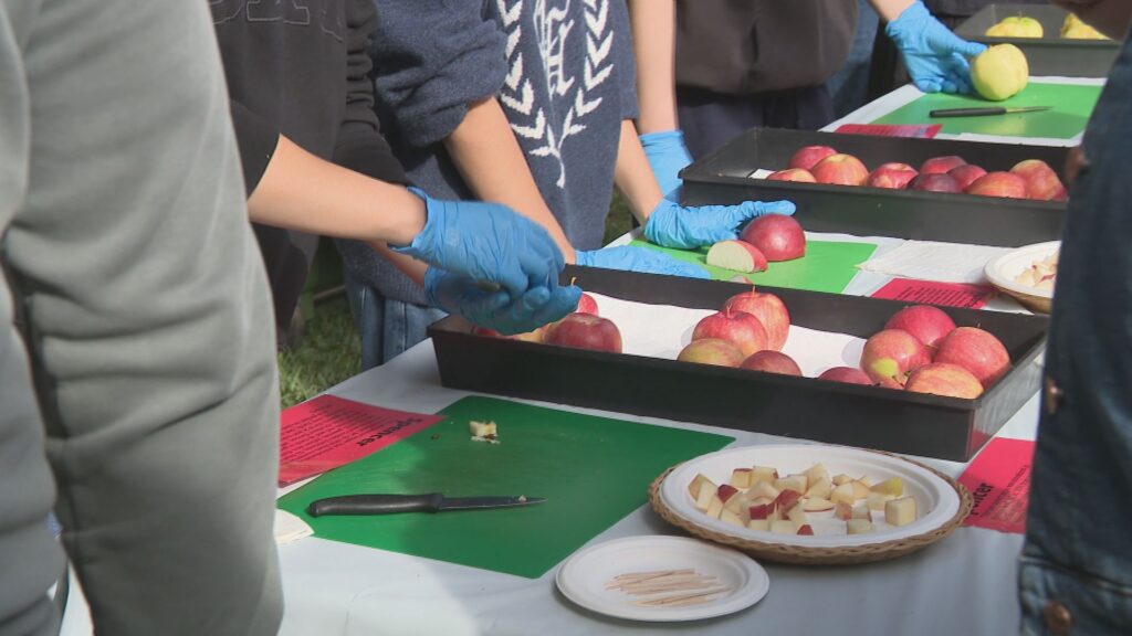 UBC’s 35th annual Apple Festival held Sunday